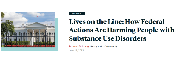 Lindsey Blog Post - Policy